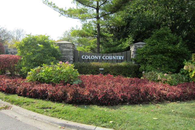 220 W Coventry Pl, Mount Prospect, IL 60056 photo 18