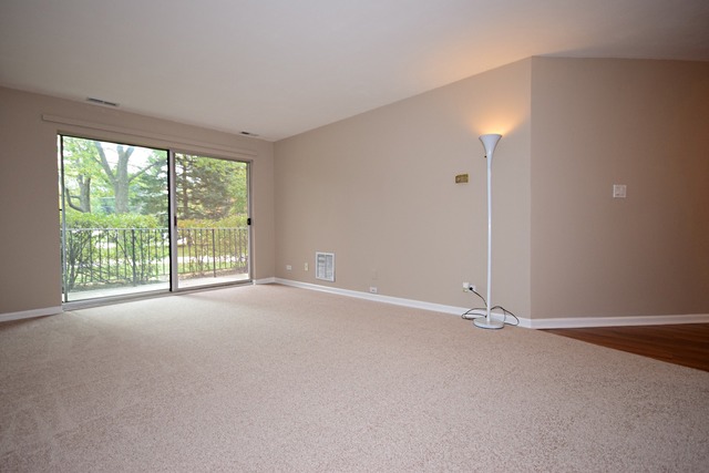 1500 Sandstone Dr #106, Wheeling, IL 60090 photo 8