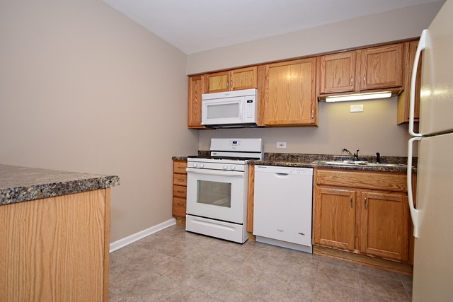1500 Sandstone Dr #106, Wheeling, IL 60090 photo 7