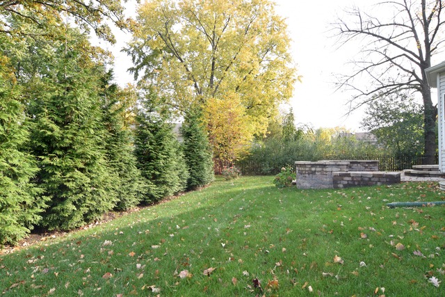 4630 Teonia Woods Dr, Rolling Meadows, IL 60008 photo 22