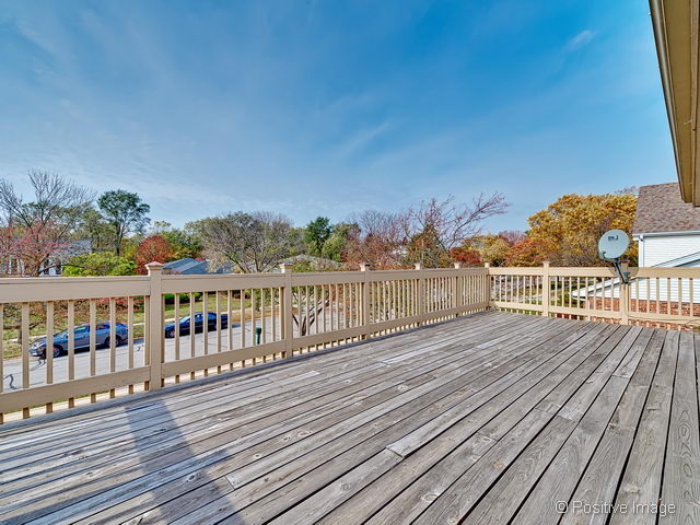 8445 Alden Ln, Darien, IL 60561 photo 18
