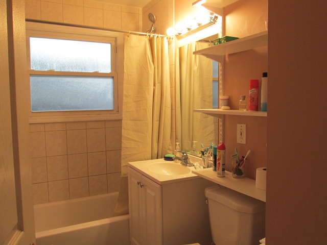 313 E Dennis Rd, Wheeling, IL 60090 photo 15