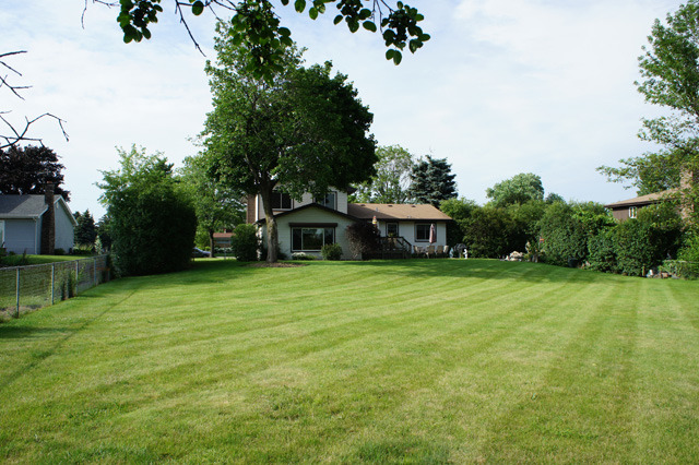 917 Vera Ln, Wheeling, IL 60090 photo 20