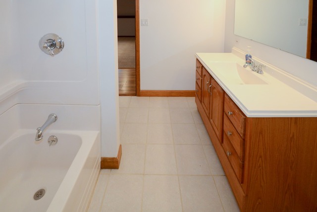 3101 Ruth Fitzgerald Dr, Plainfield, IL 60586 photo 11