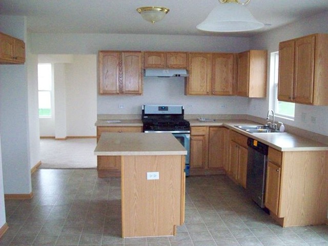 13011 Grande Poplar Cir, Plainfield, IL 60585 photo 9