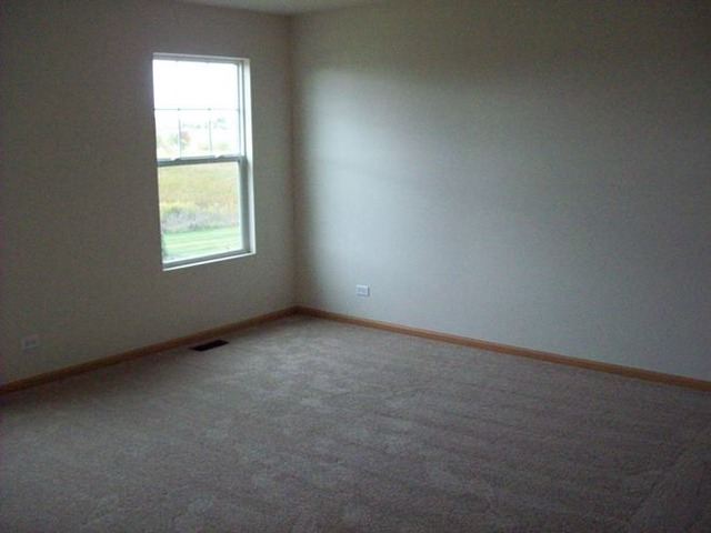 13011 Grande Poplar Cir, Plainfield, IL 60585 photo 18