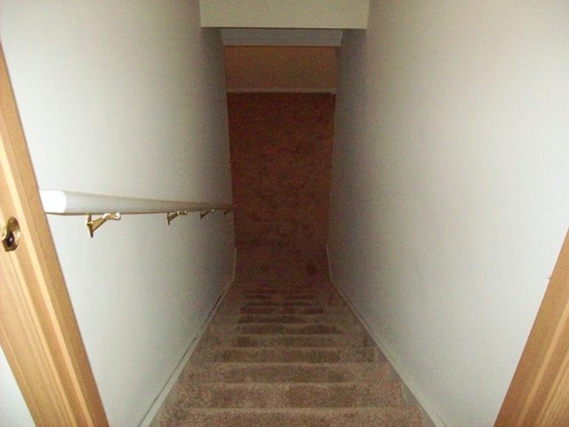 13011 Grande Poplar Cir, Plainfield, IL 60585 photo 13