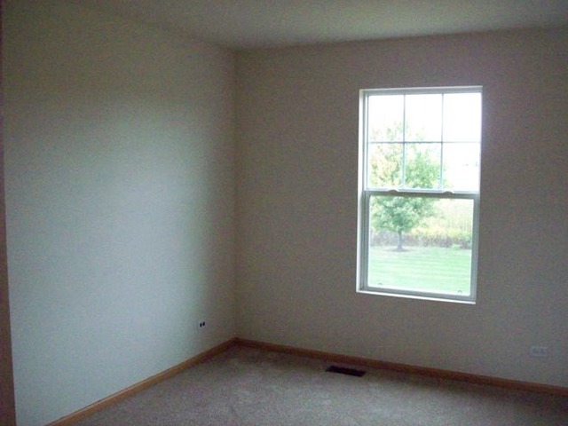13011 Grande Poplar Cir, Plainfield, IL 60585 photo 23