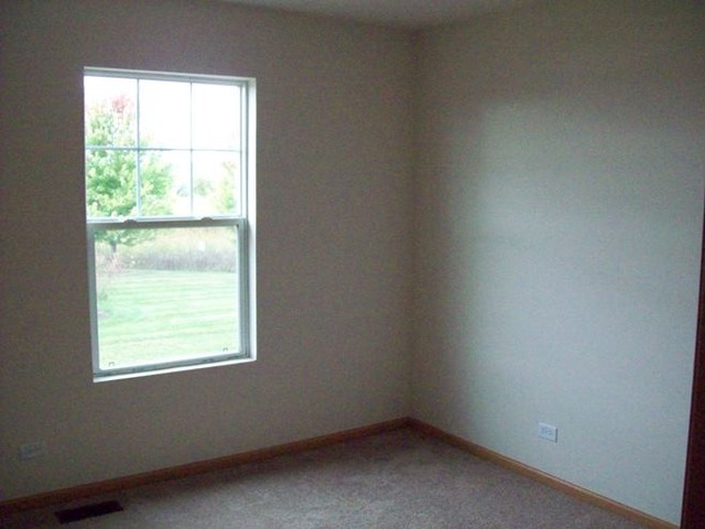 13011 Grande Poplar Cir, Plainfield, IL 60585 photo 20