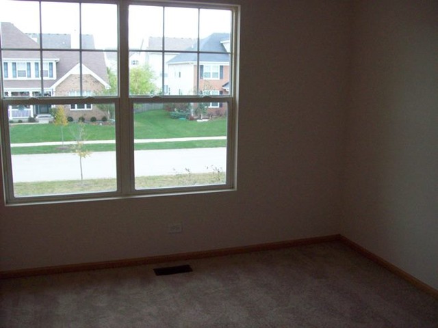 13011 Grande Poplar Cir, Plainfield, IL 60585 photo 24