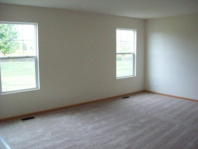 13011 Grande Poplar Cir, Plainfield, IL 60585 photo 10