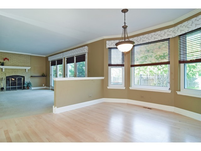 336 Wildberry Ln, Bartlett, IL 60103 photo 5