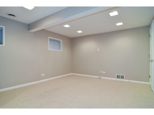 336 Wildberry Ln, Bartlett, IL 60103 photo 10