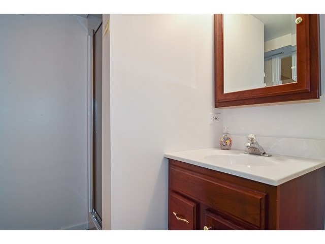 336 Wildberry Ln, Bartlett, IL 60103 photo 16