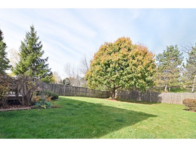 336 Wildberry Ln, Bartlett, IL 60103 photo 20