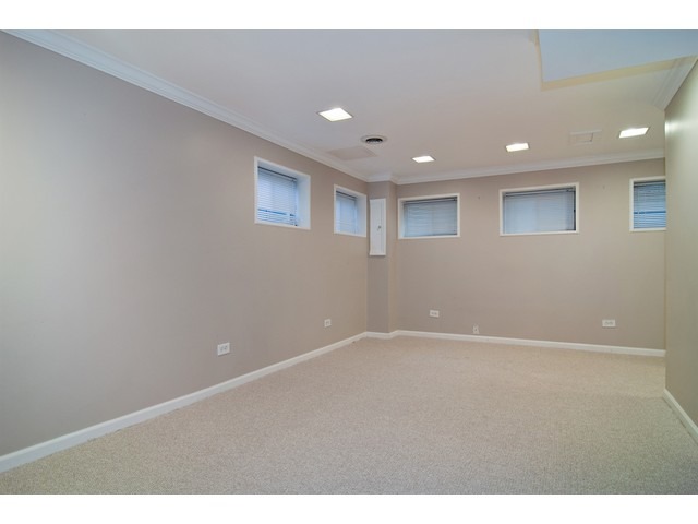 336 Wildberry Ln, Bartlett, IL 60103 photo 8