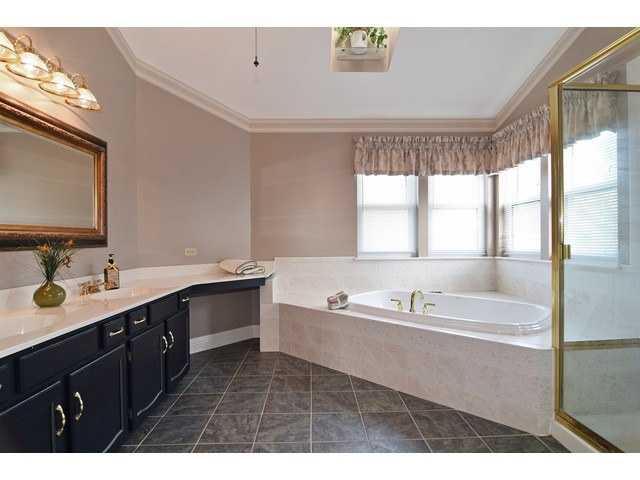 336 Wildberry Ln, Bartlett, IL 60103 photo 12