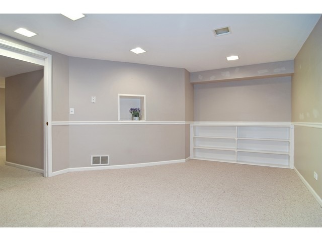 336 Wildberry Ln, Bartlett, IL 60103 photo 9