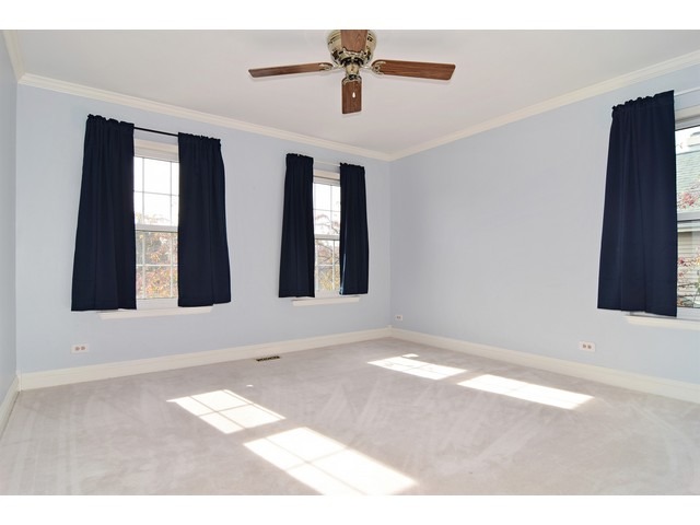 336 Wildberry Ln, Bartlett, IL 60103 photo 14