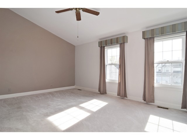 336 Wildberry Ln, Bartlett, IL 60103 photo 11