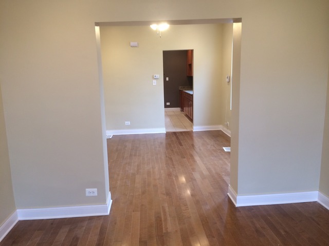 410 E 88 Th Pl, Chicago, IL 60619 photo 5