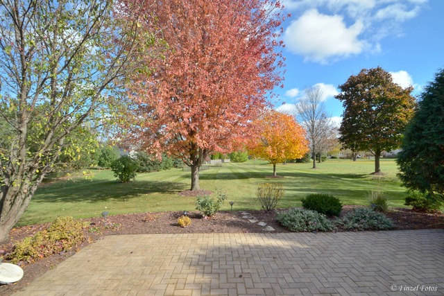 721 Foxglove Dr, Algonquin, IL 60102 photo 6