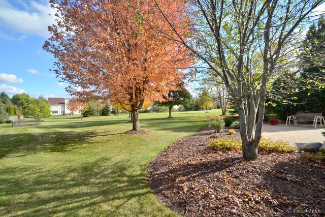 721 Foxglove Dr, Algonquin, IL 60102 photo 7