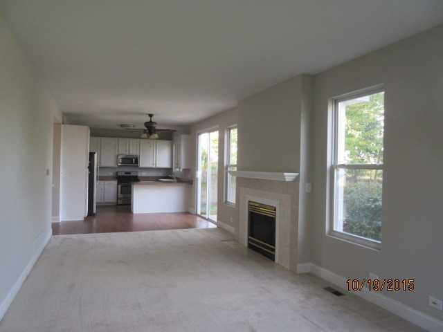 732 Red Barn Ln, Elgin, IL 60124 photo 11