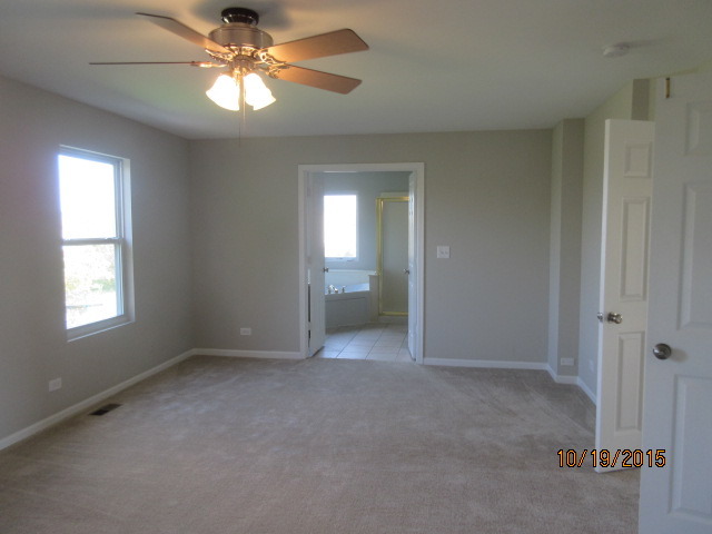 732 Red Barn Ln, Elgin, IL 60124 photo 16