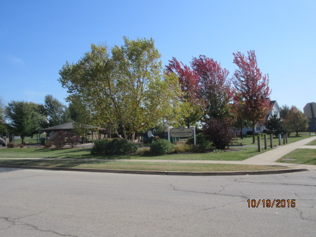 732 Red Barn Ln, Elgin, IL 60124 photo 3