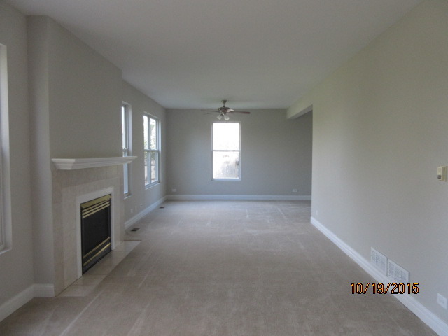 732 Red Barn Ln, Elgin, IL 60124 photo 10