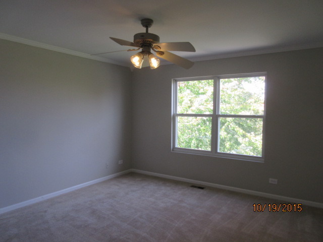 732 Red Barn Ln, Elgin, IL 60124 photo 18