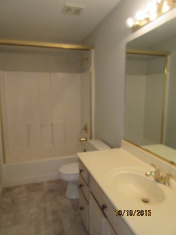 732 Red Barn Ln, Elgin, IL 60124 photo 20