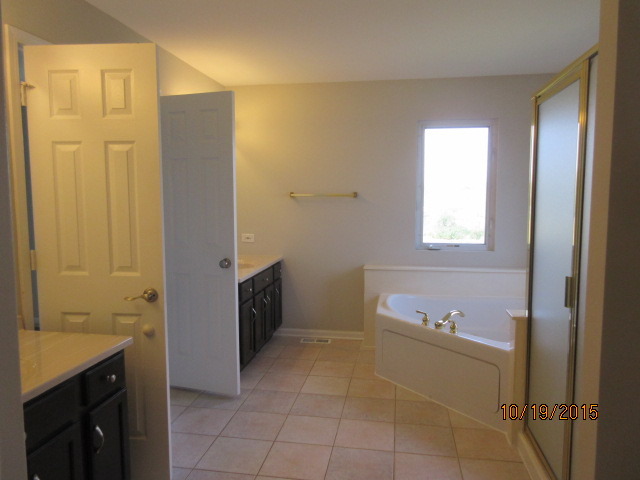 732 Red Barn Ln, Elgin, IL 60124 photo 17