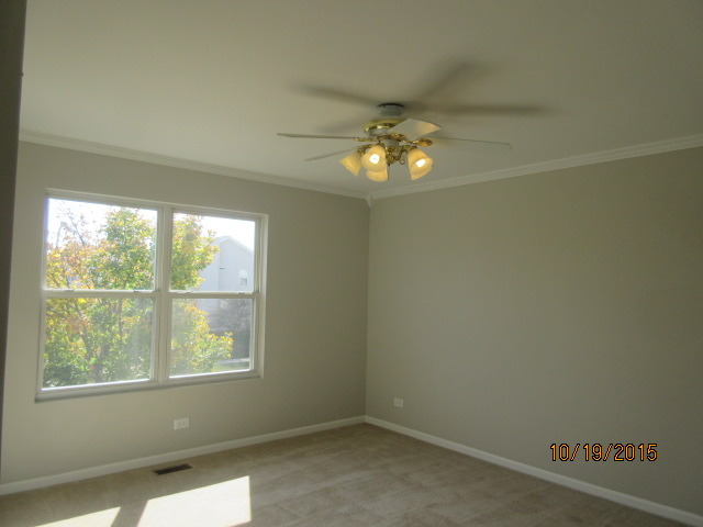 732 Red Barn Ln, Elgin, IL 60124 photo 21