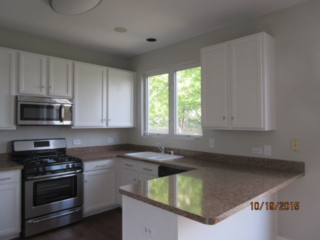 732 Red Barn Ln, Elgin, IL 60124 photo 8