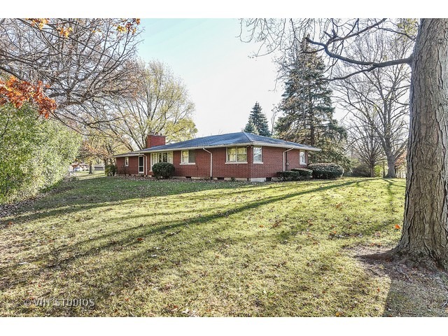 993 Roslyn Rd, Olympia Fields, IL 60461 photo 8
