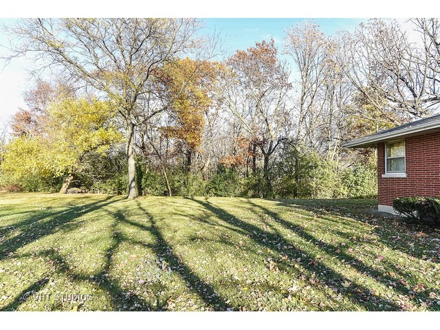 993 Roslyn Rd, Olympia Fields, IL 60461 photo 7