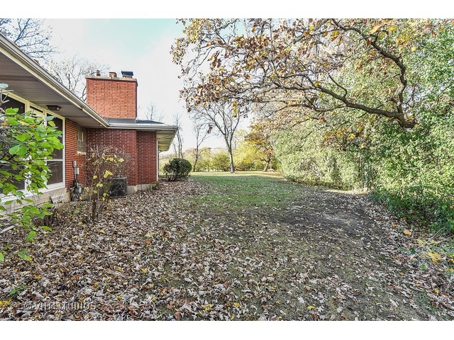993 Roslyn Rd, Olympia Fields, IL 60461 photo 9