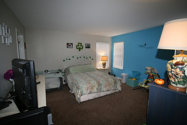 5007 Norwalk Ct, Plainfield, IL 60586 photo 15