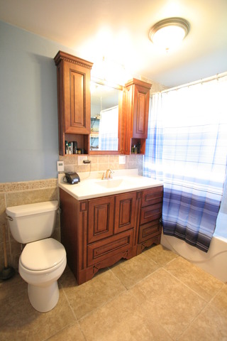 1180 S Dwight Rd, Mazon, IL 60444 photo 11