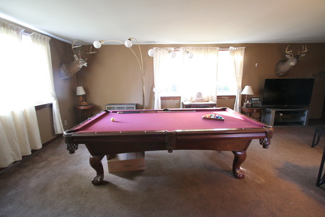 1180 S Dwight Rd, Mazon, IL 60444 photo 9