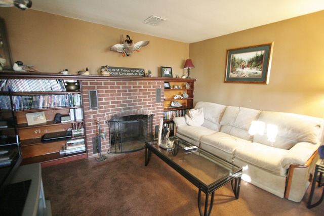 1180 S Dwight Rd, Mazon, IL 60444 photo 8