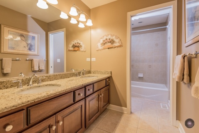 13008 Skyline Dr, Plainfield, IL 60585 photo 18