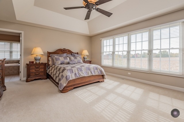 13008 Skyline Dr, Plainfield, IL 60585 photo 12