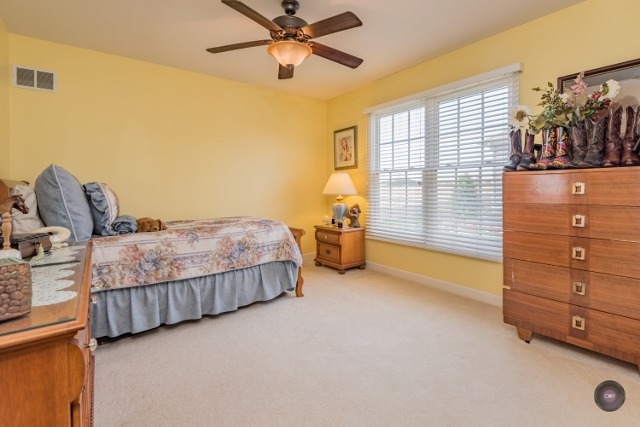 13008 Skyline Dr, Plainfield, IL 60585 photo 16
