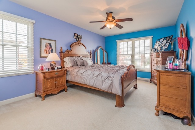 13008 Skyline Dr, Plainfield, IL 60585 photo 17