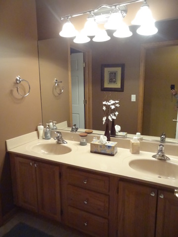 1529 Greenleaf Ct, Bartlett, IL 60103 photo 16