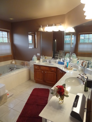 1529 Greenleaf Ct, Bartlett, IL 60103 photo 12
