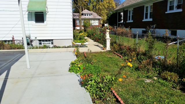 475 Ann St, Elgin, IL 60120 photo 25